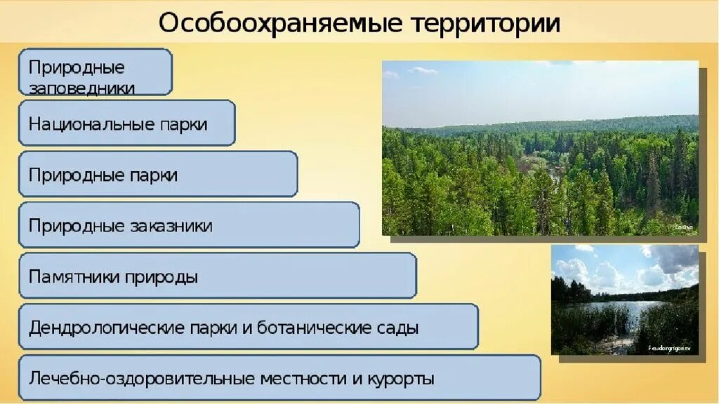 Как называется вид особо охраняемых природных территорий. Что такое заказник, заповедник, природный парк. Охраняемые территории заказники заповедники национальные парки. Заповедники заказники национальные парки памятники природы.