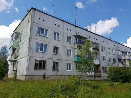 Березник вологодской