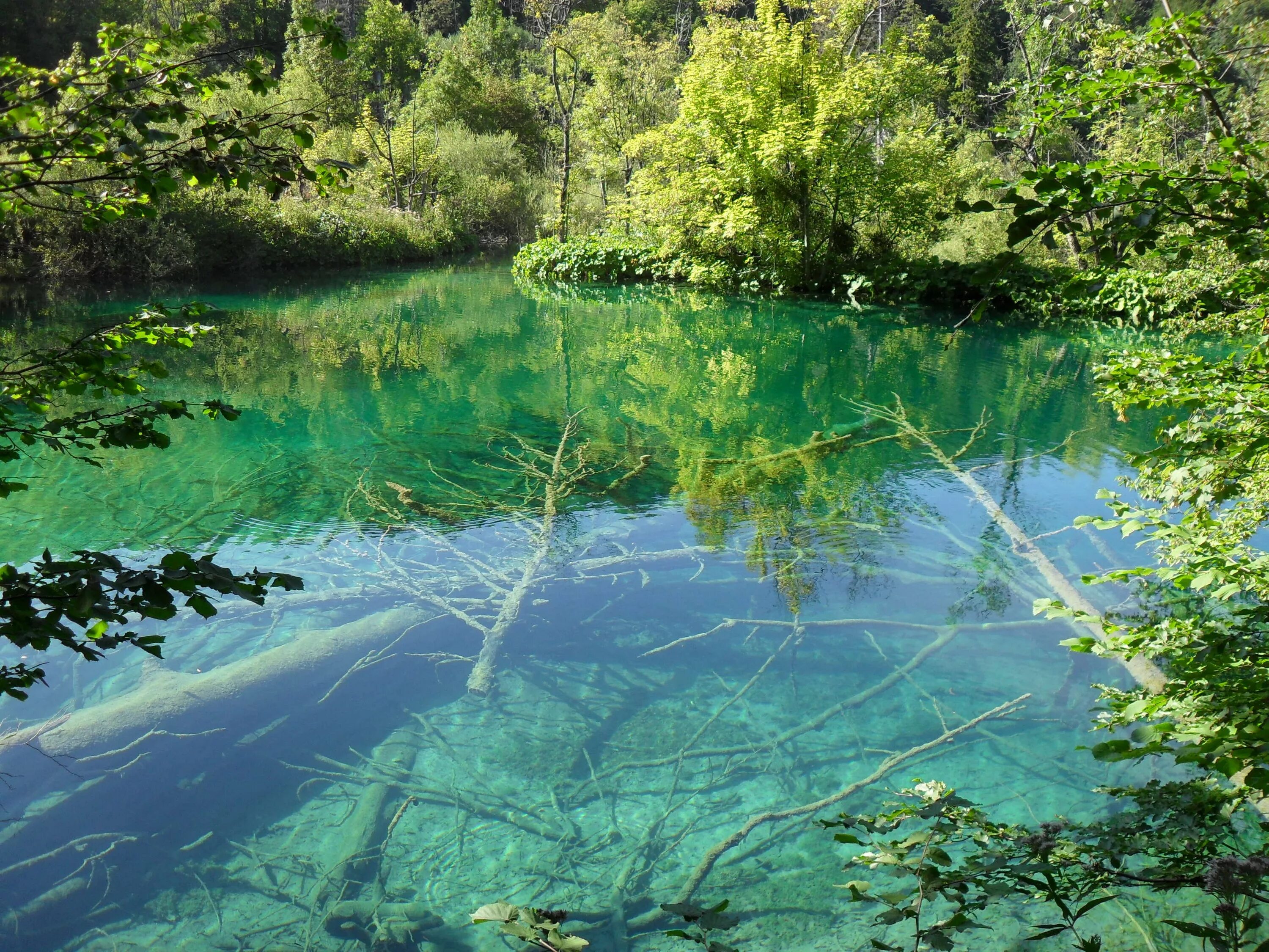 Природный водный орган