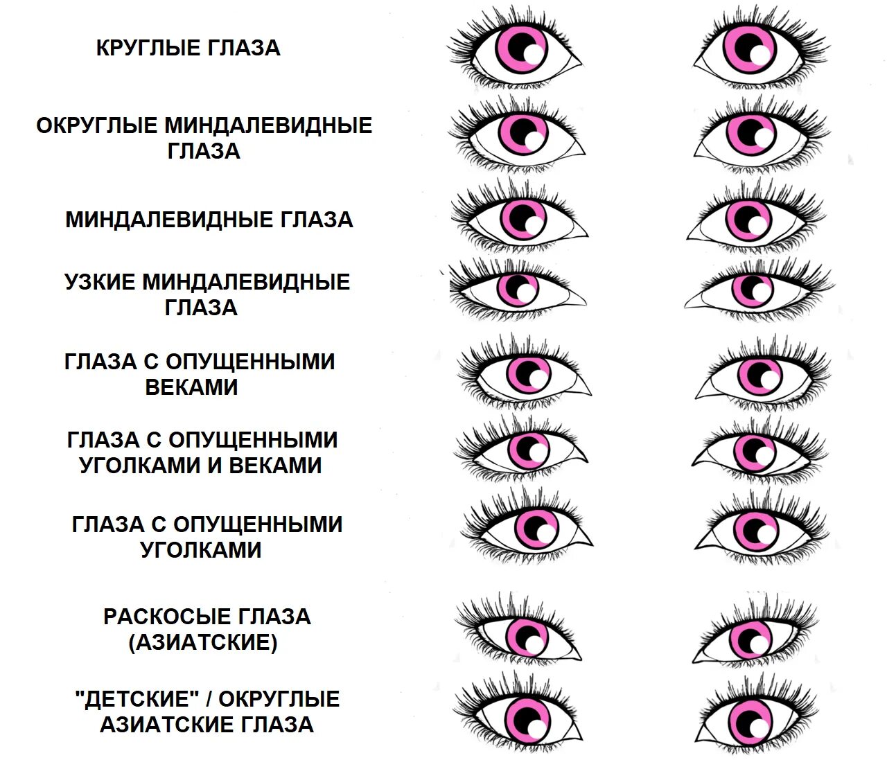 Значение формы глаз. Схемы наращивания ресниц для разных типов глаз. форма глаз и название. эффект подводки наращивание ресниц схема. как определить тип глаз.