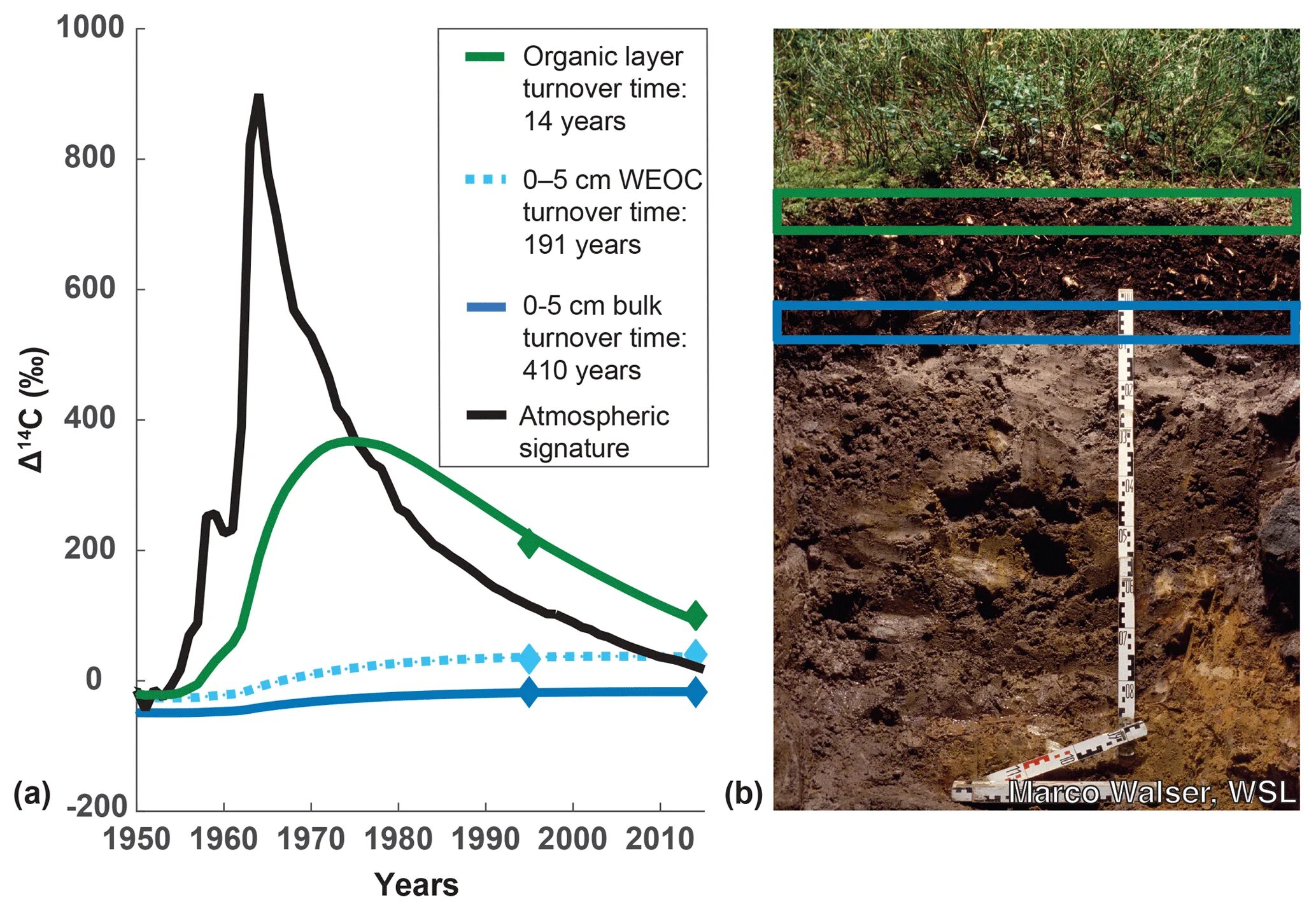 Soil dynamics. Модель soft soil. технология deep soil mixing. автоморфные почвы.