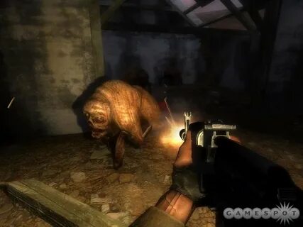 Прохождение stalker shadow of