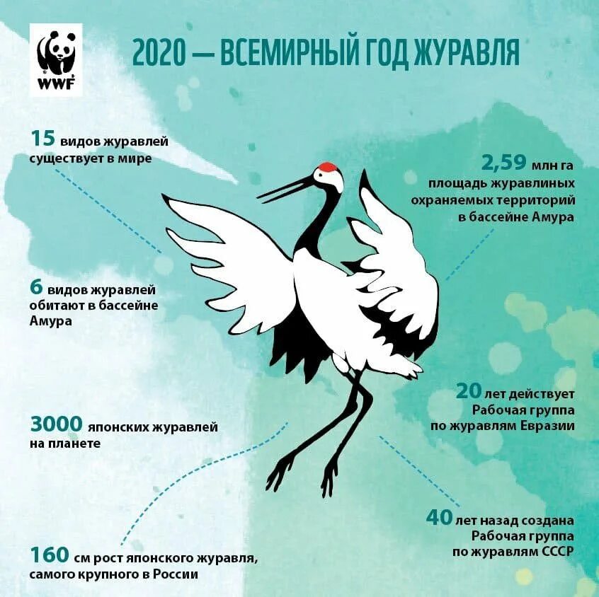 День птиц в россии 2024. Журавль птица года 2020 в России. Всемирный день журавля. Всемирный год журавлей 2020. Птица года 2020 года в России.