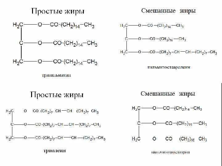 Общее название жиров. Жиры структурная формула. Жиры формула химическая. Общая формула жиров химия. Формула жира в химии примеры.