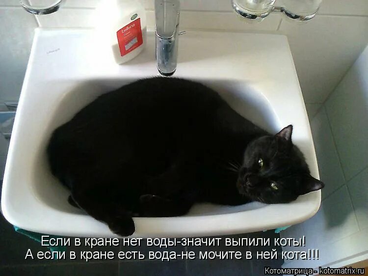 если в кране нет воды воду выпили. струйка воды из крана. модер ди пить воду из крана. если в кране нет воды значит выпили. если в кране нет воды.