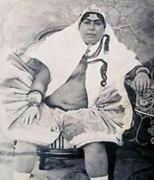 анис аль-долях. насреддин шах каджар. жены из гарема персидского шаха насреддина-шах каджара 1870-е. гарем иранского шаха насера каджара. книга с психологией шах.