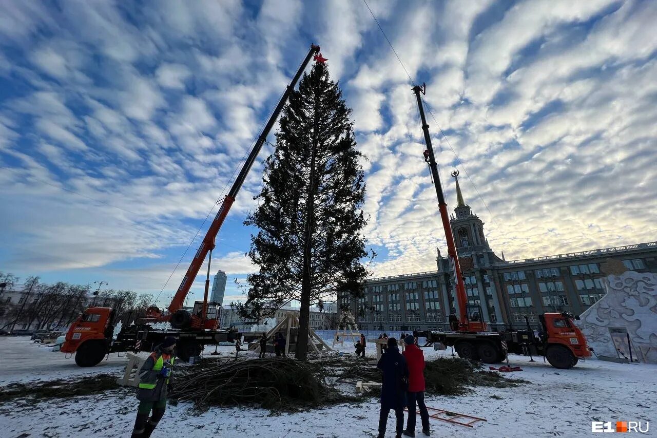 Площадь 5 года екатеринбург елка. Елка на площади 1905 года в екатеринбурге 2025. главная новогодняя елка. новогодняя елка на площади. главная елка в екб.