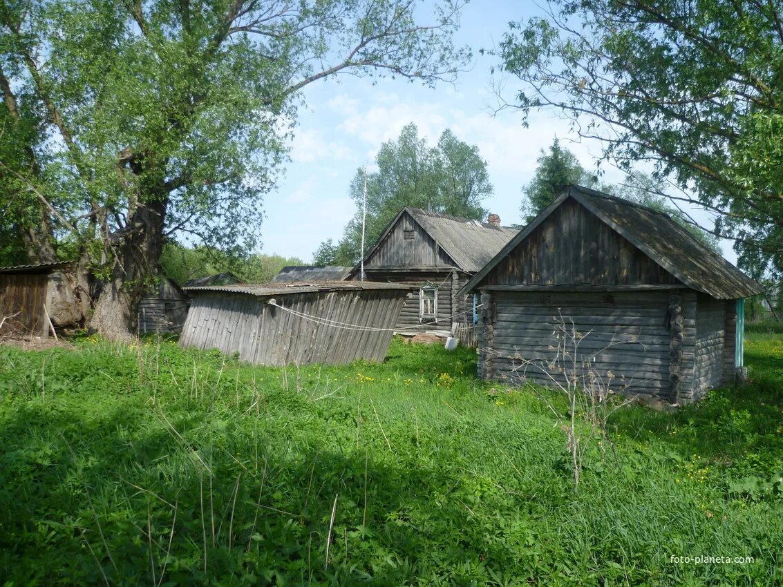 Деревня улица рязанской. Деревня Ширино Рязанская область. Марфинка Сапожковский район Рязанская область. Деревня Ширино Рязанская область Сапожковский район. Деревня Березовка Сапожковский район Рязанской области.