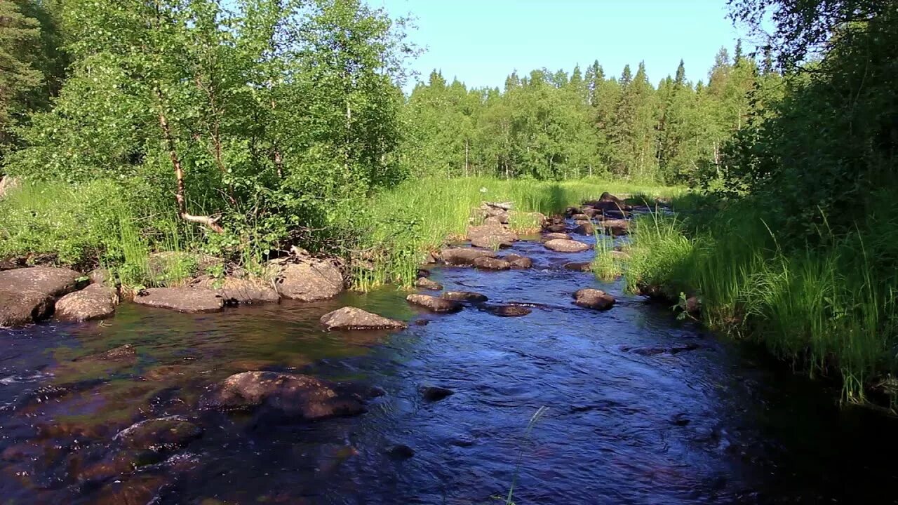 Бежит река. Воньга (река). А по камушкам речка бежит. Фото с бегущей речкой.