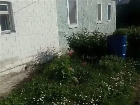 Авито ярцево бу. Ярцево дуброво. улица рокоссовского ярцево смоленская область. дер капыревщина ярцевского р-на смоленской обл. ярцево смоленская область чайковского 31.
