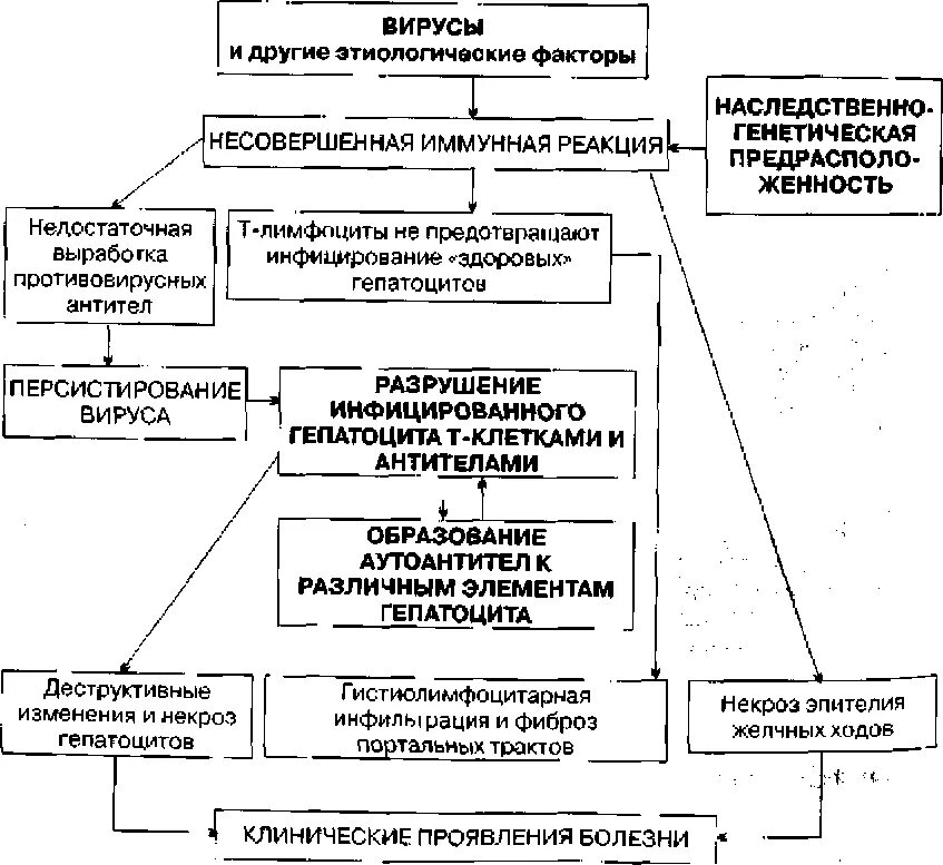 Гепатит а патогенез. Патогенез хронического гепатита схема. Патогенез гепатита а схема. Хронический гепатит этиология патогенез. Патогенез вирусного гепатита в схема.