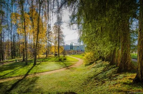 Архангельское 2020