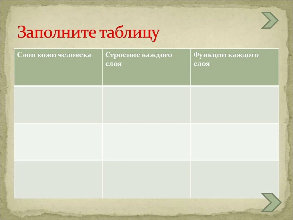 Таблица слои кожи строения каждого слоя и функции каждого слоя. Слои кожи строение и функции таблица. Таблица слои кожи строение функции 8 класс. Слои кожи человека таблица.