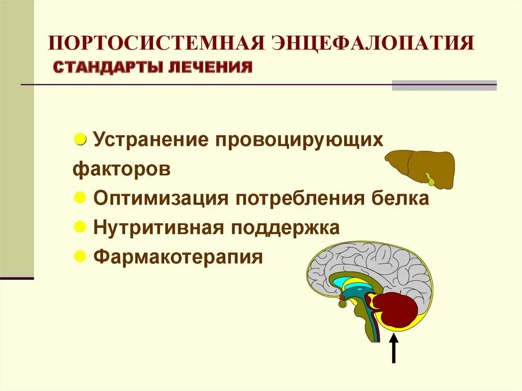 Портосистемная энцефалопатия. Лекарство от энцефалопатия головного мозга. Энцефалопатия презентация. Диагноз энцефалопатия.