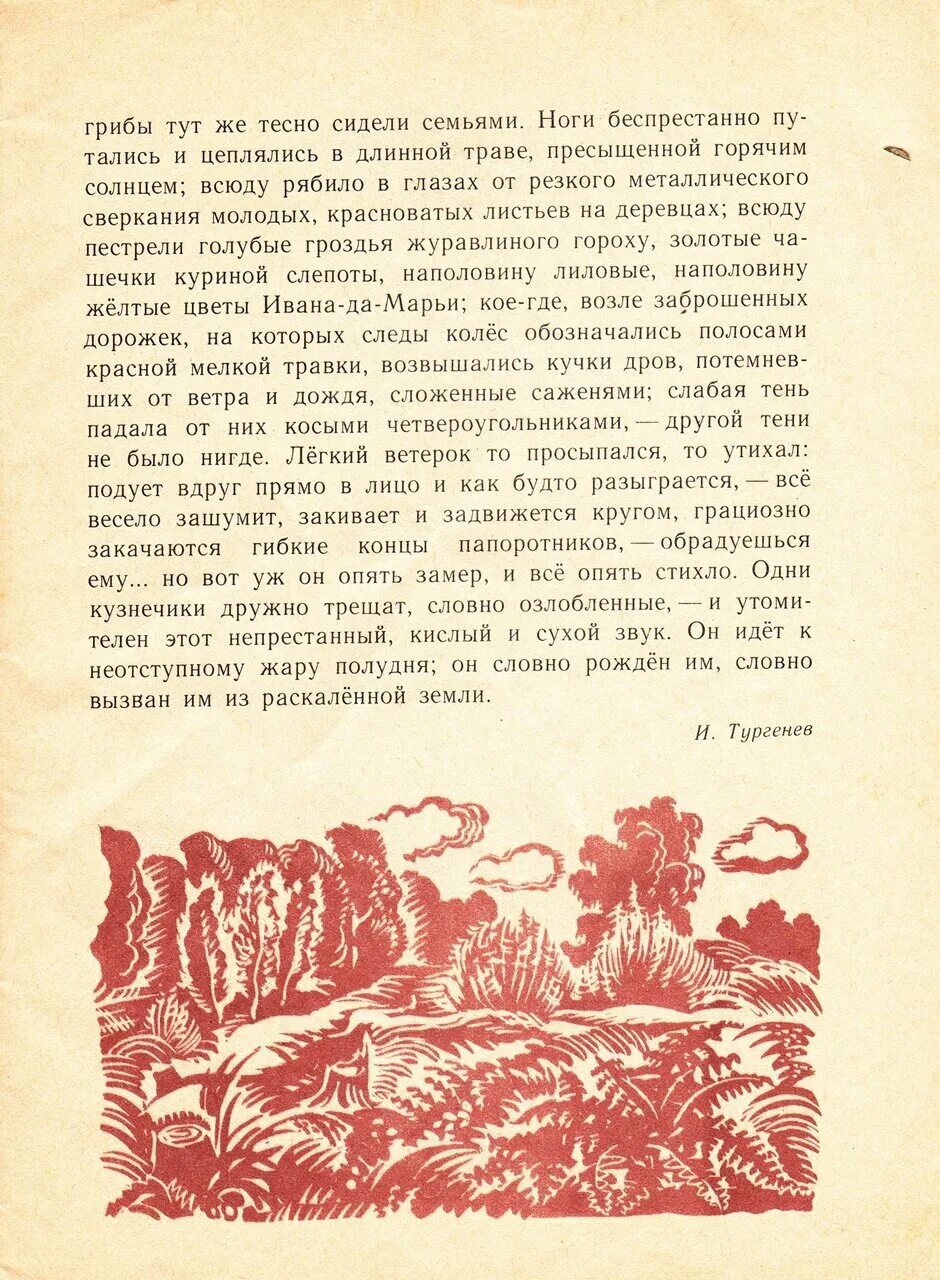 Выгонять перед вечером и пригонять. Моя Родина Издательство детская литература. Лёгкий ветерок то просыпался то утихал. Ноги беспрестанно путались и цеплялись в длинной траве пресыщенной. Лёгкий ветерок то просыпался то утихал схема предложение.