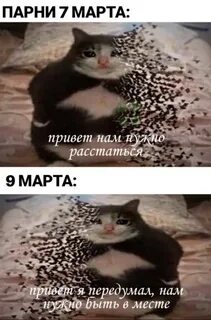 Что же ты наделал я тебя ждала