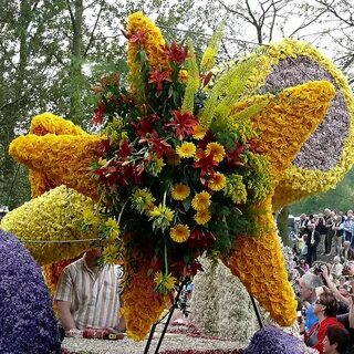 Сценарий цветы