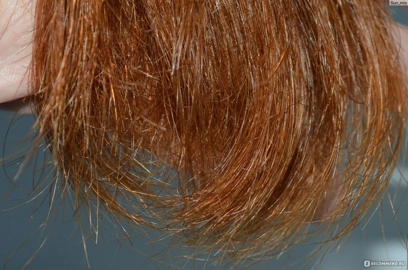 Сечение волос. Секущиеся волосы по всей длине. Что такое сеченый волос у человека. Сеченые волосы с лицом.