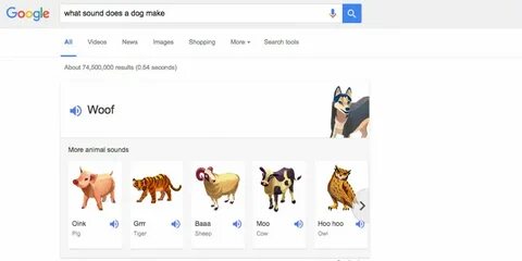 Does dog