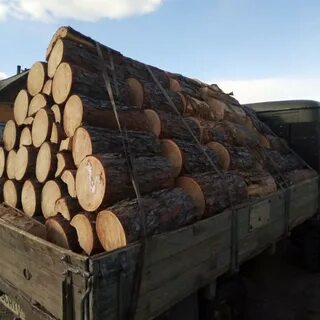 Дрова с доставкой недорого