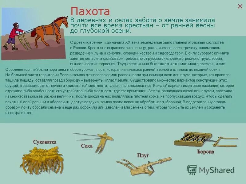 соха рало борона. пращур плуга. ручные сельскохозяйственные орудия труда таблица. пращур плуга. конный плуг 19 века.