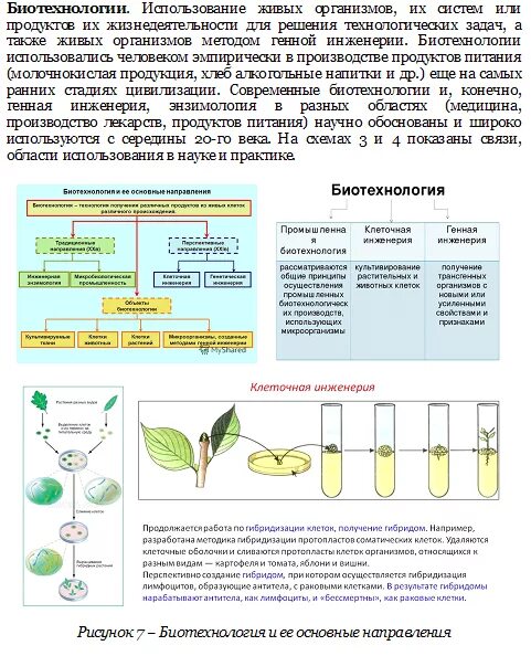 Биотехнология клеточная и генная. Методы селекции таблица клеточная инженерия генная инженерия. Генная и клеточная инженерия 10 класс биология. Генная и клеточная инженерия таблица. Методы клеточной инженерии таблица.