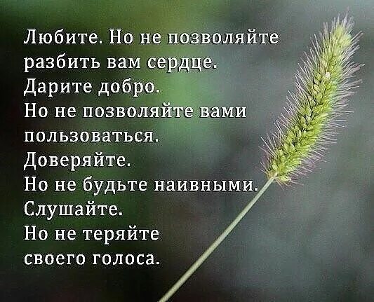 Наивная цитаты. Не будьте наивными цитаты. не позволяйте пользоваться собой.
