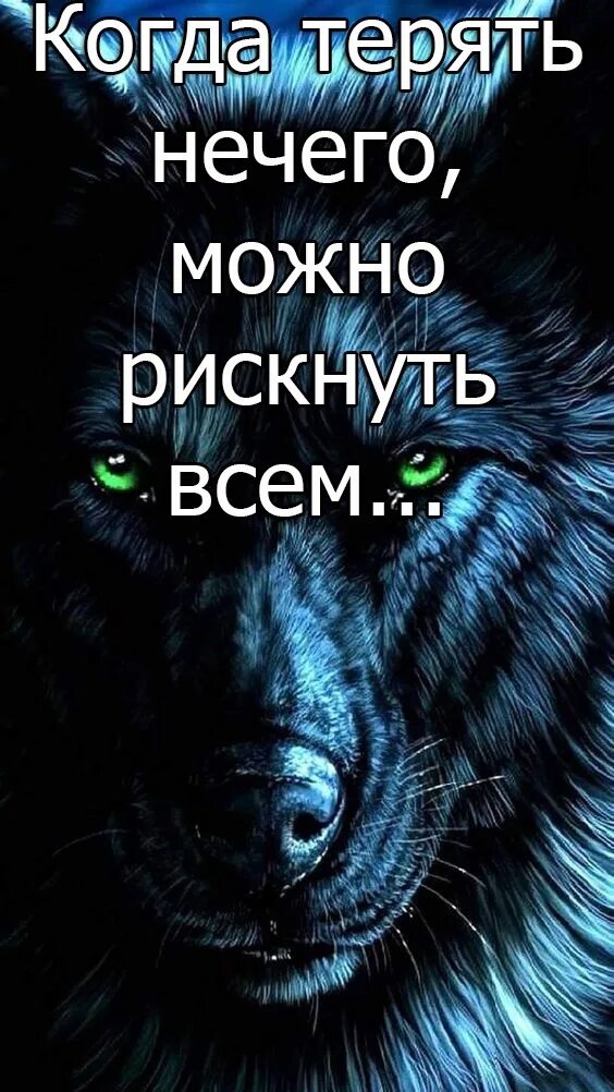 Мне просто нечего терять. Когда терять нечего можно рискнуть всем. Нечего терять цитаты. Когда нечего терять цитаты. Когда нечего терять картинки.