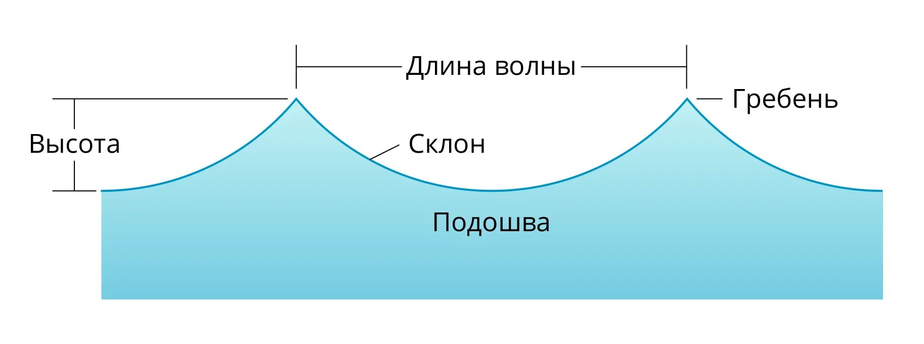 Подошва волны это. Части волны. Элементы волны. Элементы морской волны. Названия элементов волны.