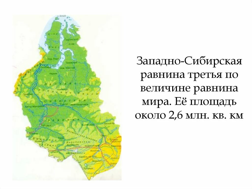 Западно Сибирская равнина на карте на карте. Низменности Западно сибирской равнины на карте. Западно Сибирская низменность на карте. Природные зоны Западно сибирской равнины на карте.