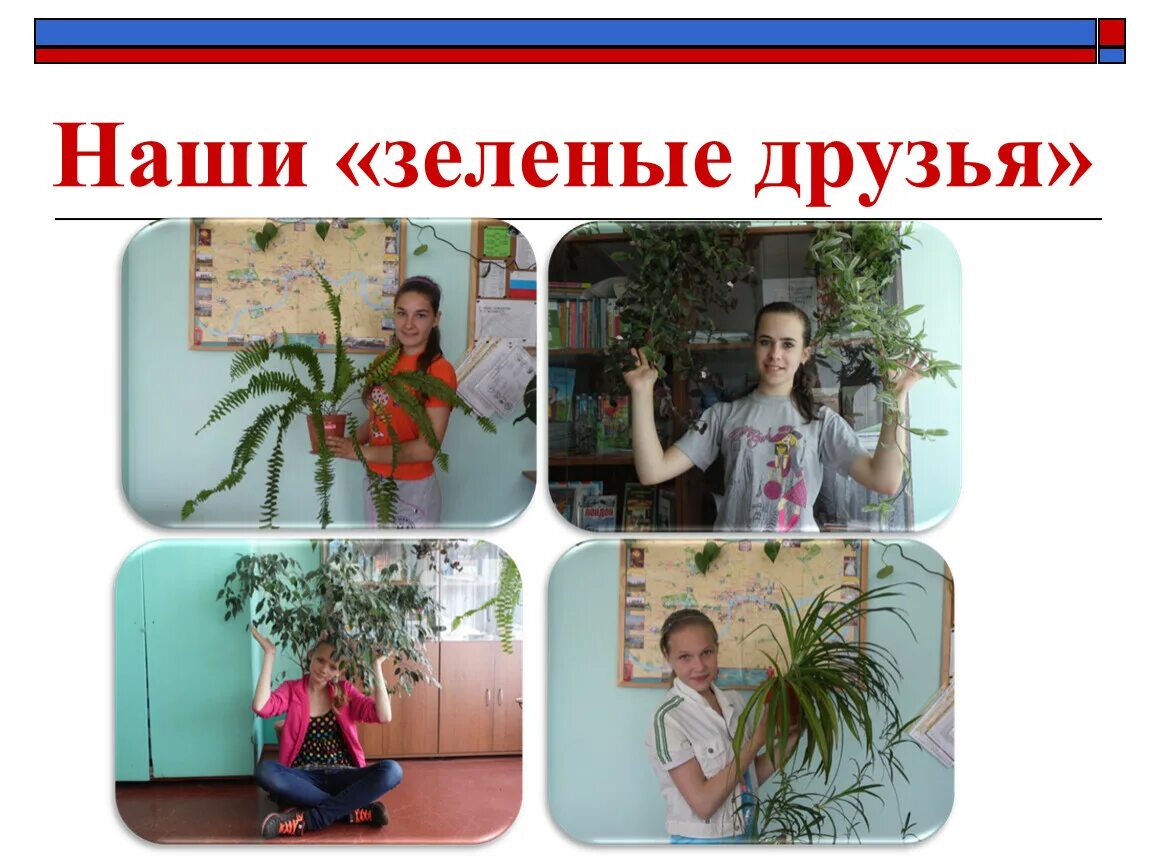 Тема недели зеленые друзья. Презентация проекта лук наш зелёный друг. Тема для детей «зеленые друзья (растения)». Тема недели зеленые друзья. Зеленый друг.