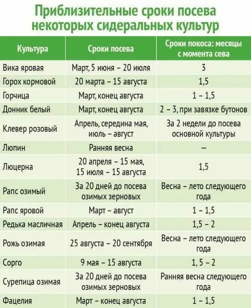 Норма высева гороха на га. Подготовка семян к посеву яровой пшеницы таблица. сроки посева яровых зерновых культур. сроки посева зерновых культур весной. таблица высева, зерновых культур.