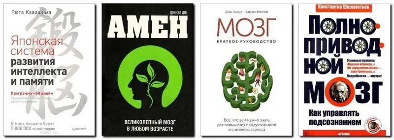 Мозг на японском. Рюта Кавашима японская система развития памяти. Японское развитие интеллекта и памяти. Японская книга для развития мозга. Мозг краткое руководство.