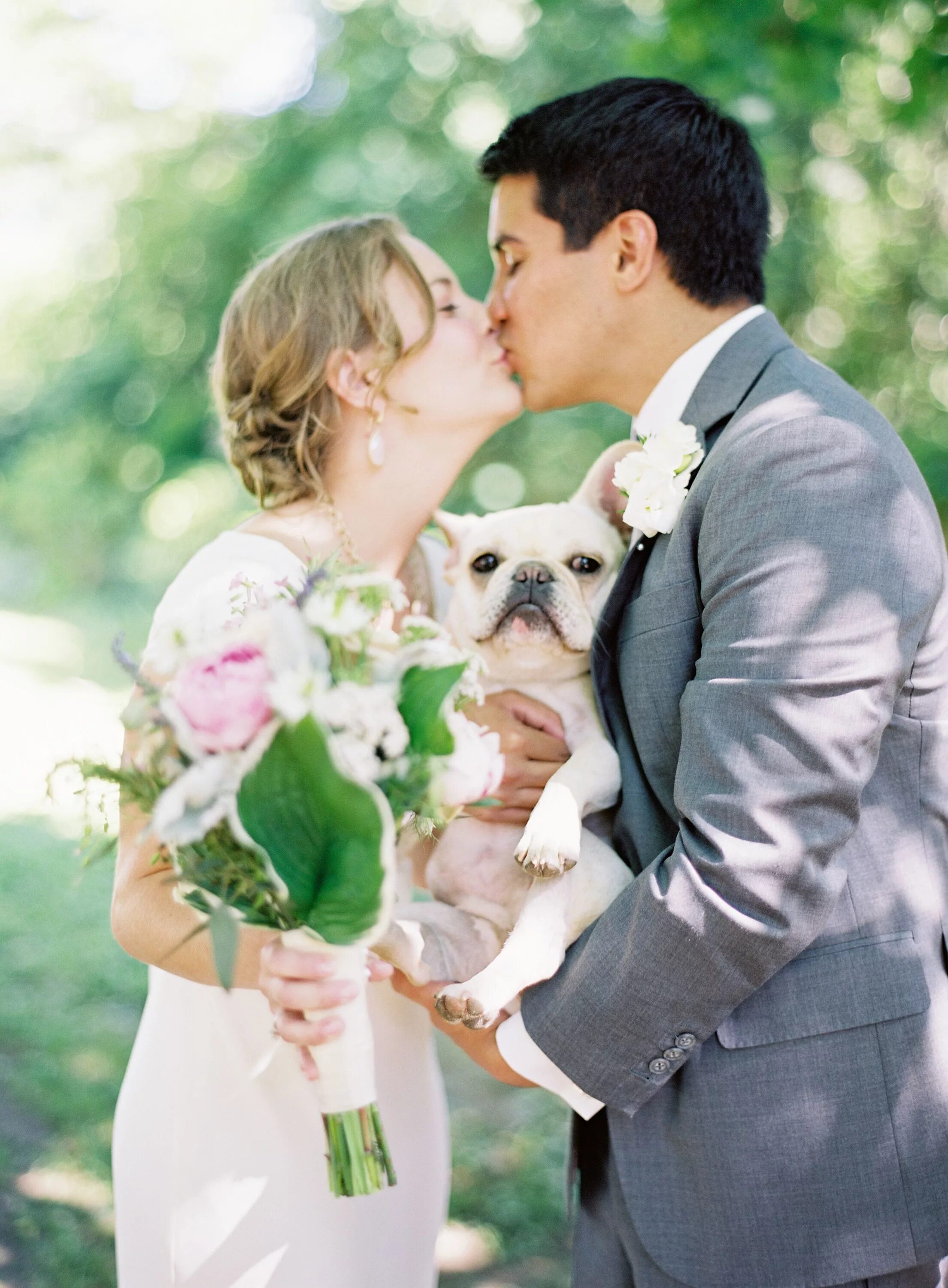 Свадьба собак. Свадьба в стиле собак. Собаки на свадьбу для фотосессии. Свадебная фотосессия с собакой летом. Фото petting