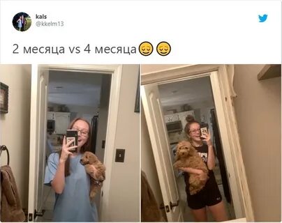 Пользователей покажу