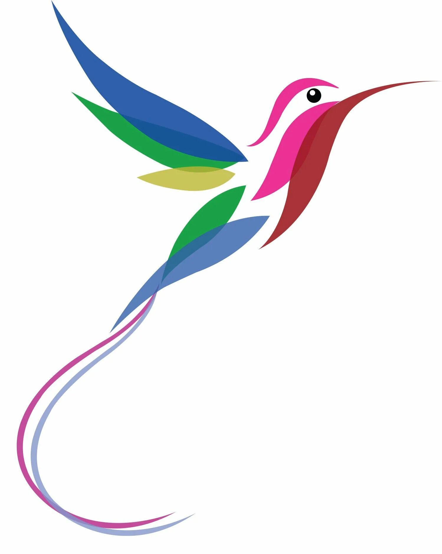 Колибри. Колибри логотип. Логотип птичка. Колибри рисунок.