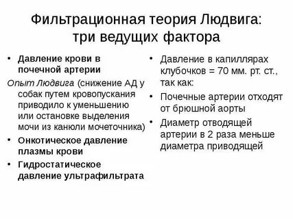 Функция почек анализы