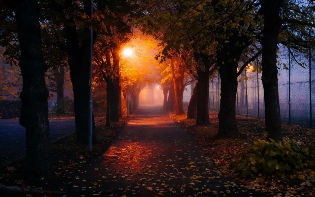 Вечерняя аллея. Парк ночью. Вечерняя аллея. Осенний вечер. Ночной парк константиновка.