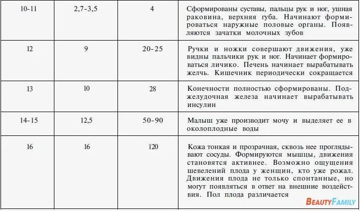 Внутриутробное развитие плода таблица. Периоды внутриутробного развития плода таблица. Таблица развития плода по неделям беременности. Этапы внутриутробного развития плода таблица.