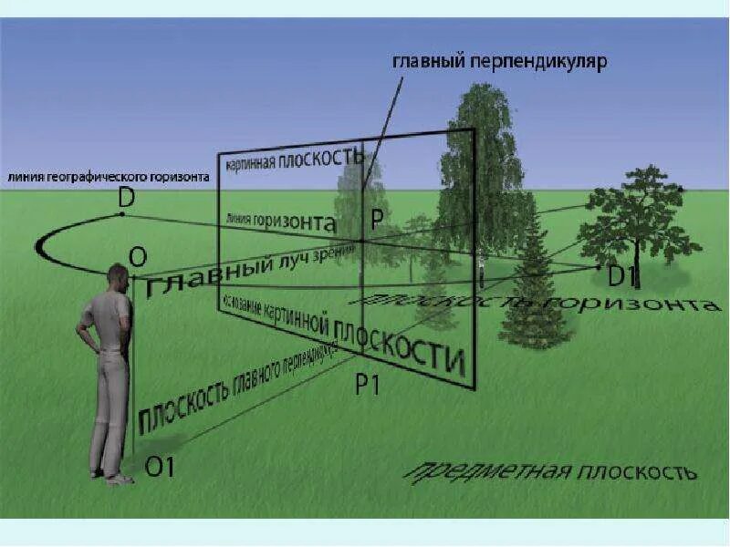 Точка зрения на объект. Линия горизонта в перспективе. Точка зрения и линия горизонта. Картинная плоскость. Картинная плоскость в перспективе.