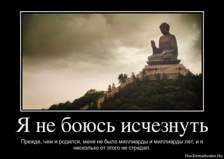 я умирал и вновь рождался. мудрые демотиваторы. цитаты про смерть и боль. смерть лучше жизни. мудрые мысли.
