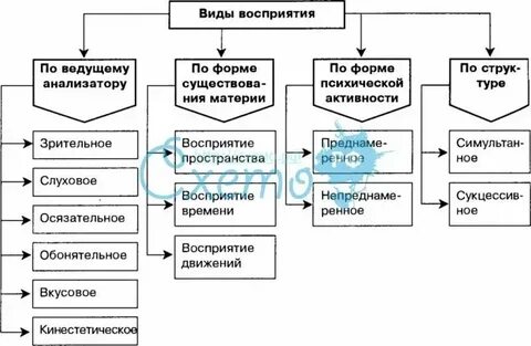 Восприятие и его социальная основа
