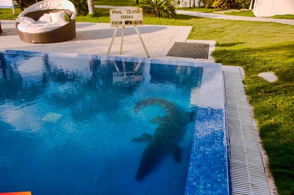 Pool closed due to aids. Pool is closed. Pool is closed. Бассейн закрыт. Бассейн закрыт картинка.