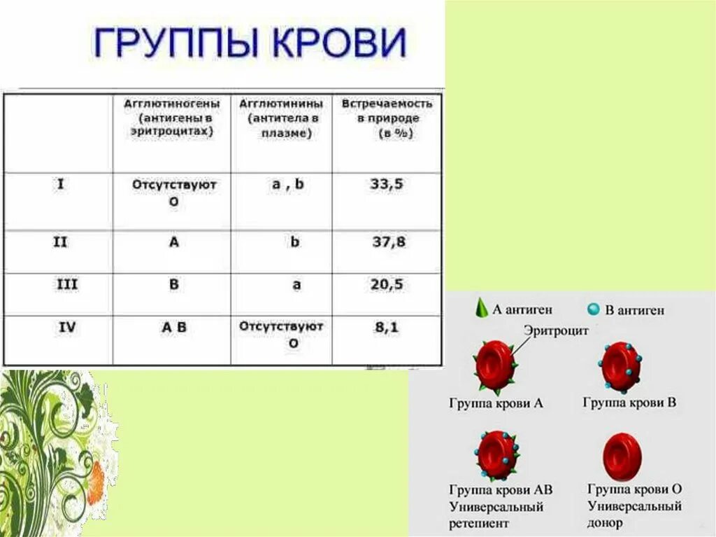 Группы крови названия. Антигены эритроцитов 1 группы крови. 1 Группа крови антигены и антитела. Антигены и антитела в третьей группе крови. Группы крови таблица антигены антитела.