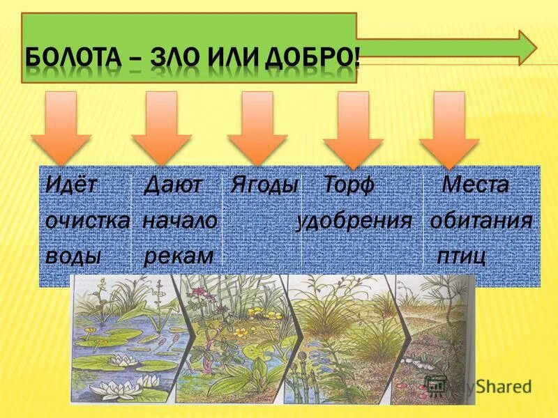 Увлажнение избыточное много болот озер