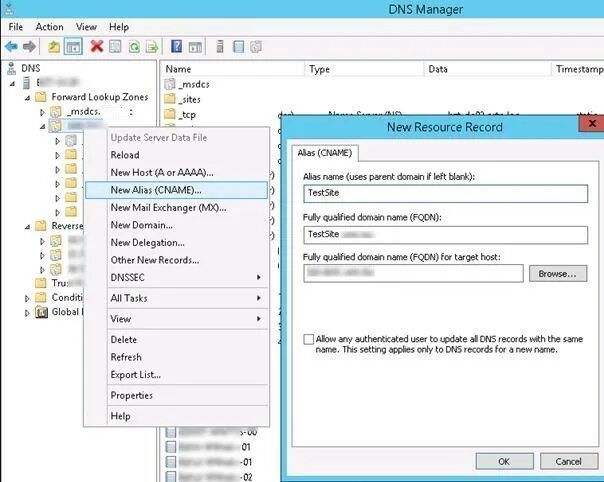 Target host. Canonical name Active Directory. IIS прописать Альяс. Msdcs. DNS DC Windows msdcs.