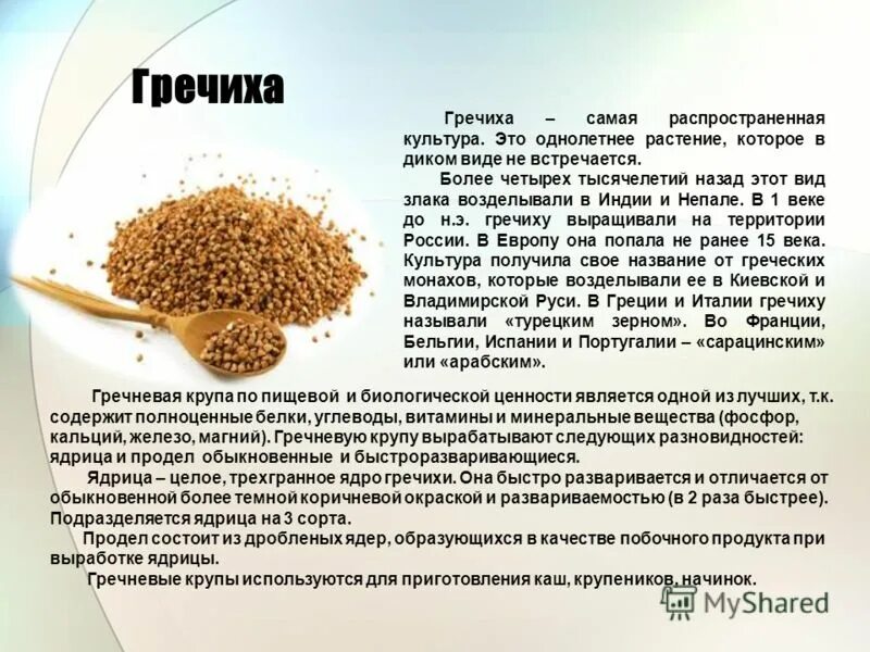 Пищевая ценность гречки. Сообщение о гречке. Полезные вещества в гречке. Чем полезна гречка. Питательная ценность гречки.