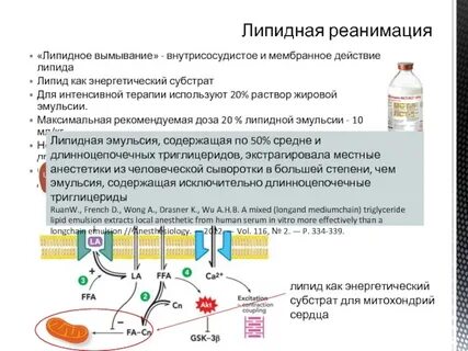 Жировая эмульсия