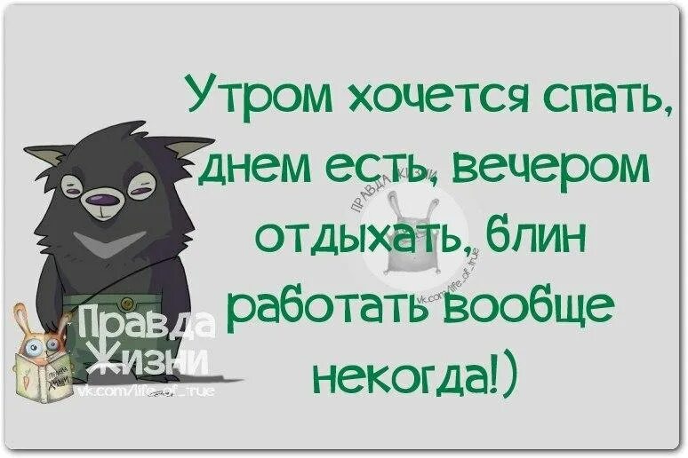 Правда жизни новое. Правда жизни цитаты. Правда жизни приколы. Правда жизни юмор в картинках. Смешные цитаты с картинками правда жизни.