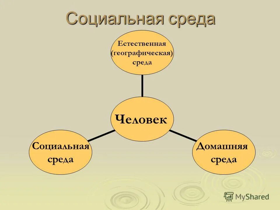 Социальная среда общения человека. Дружный коллектив. Рабочий коллектив. Как общение влияет на формирование личности. Социальная среда общения человека.